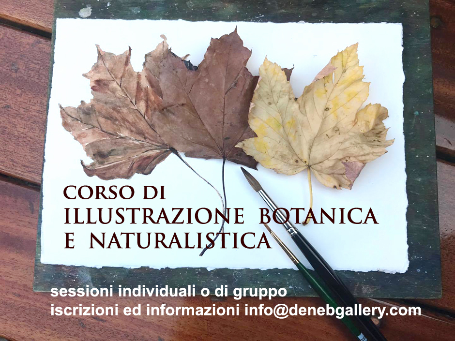 Corso di illustrazione botanica e naturalistica ad acquarello